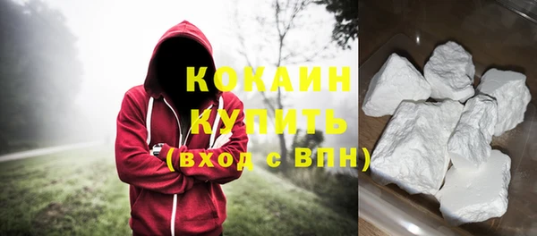 дурь Богородицк