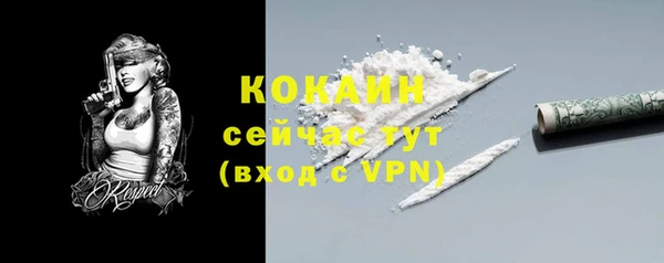 сатива Богданович