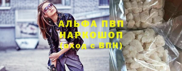 сатива Богданович